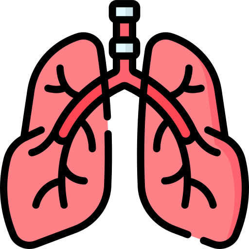 lungs